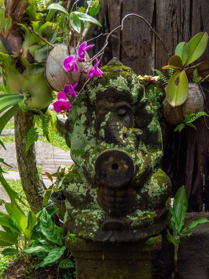 Accommodatie bij particulieren Kayu Batu Ubud
